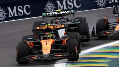 جائزة ساو باولو الكبرى  São Paulo Grand Prix