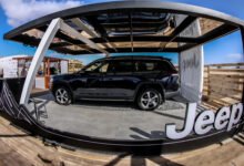 جيب وألفا روميو ترعيان بطولة كأس مصر للفروسية 2026