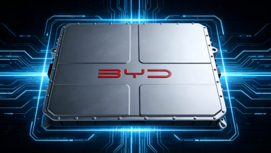 بي واي دي BYD