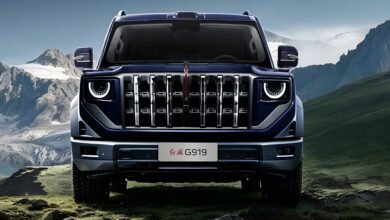 هونشي Hongqi G919
