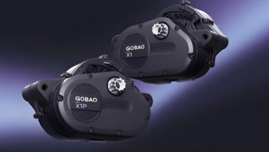 جوباو Gobao