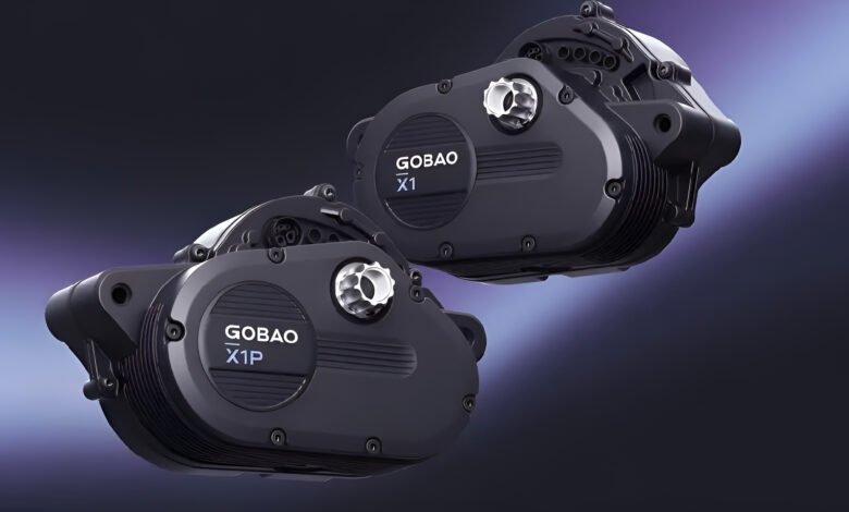 جوباو Gobao