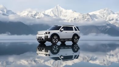 فريلاندر Freelander 8